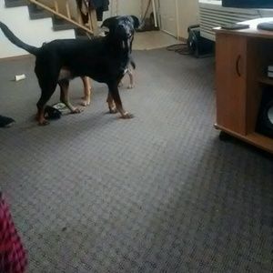 Meet your Posher, Cody